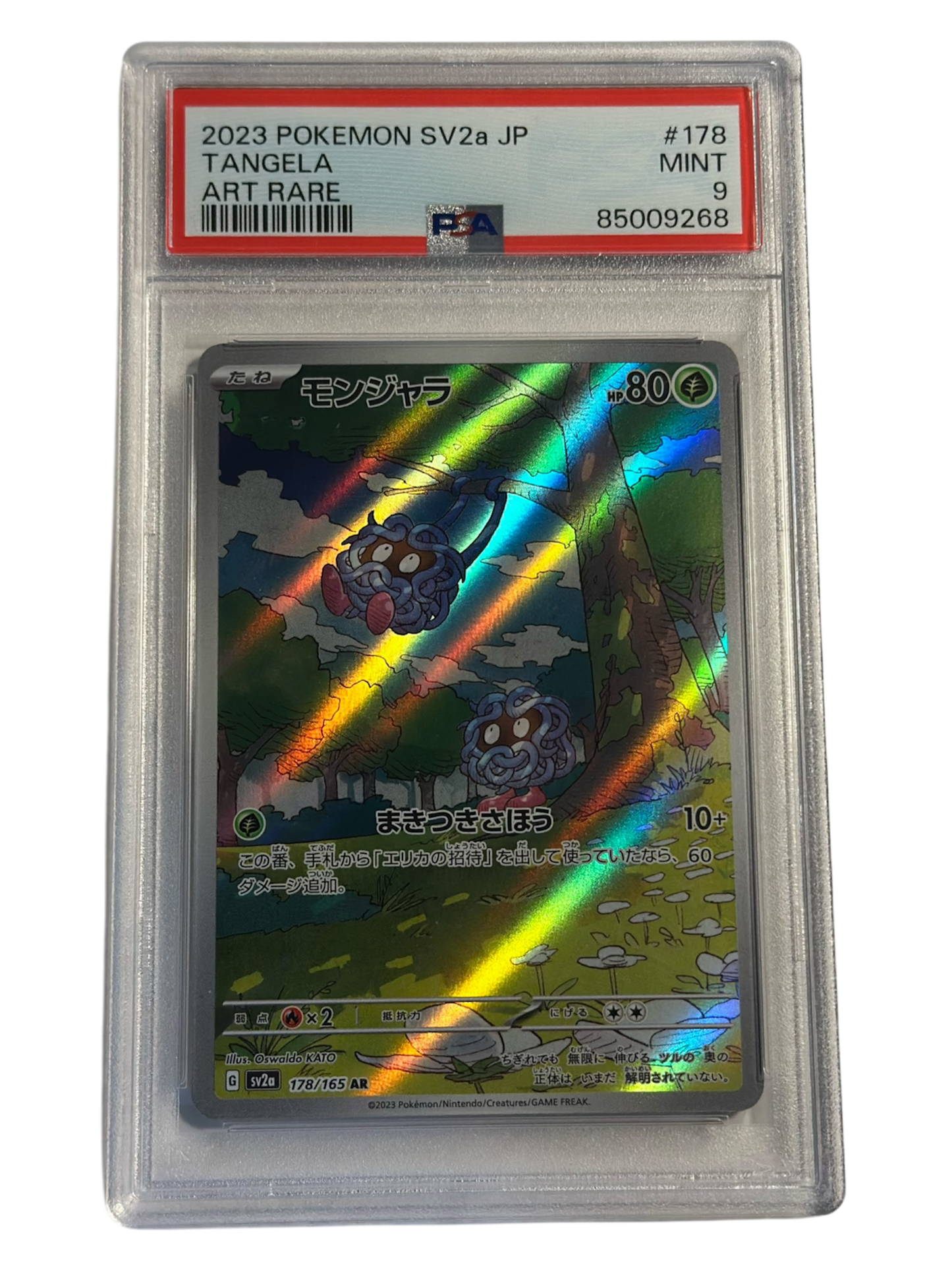 TANGELA ART RARE 151 178/165 PSA9 - JP